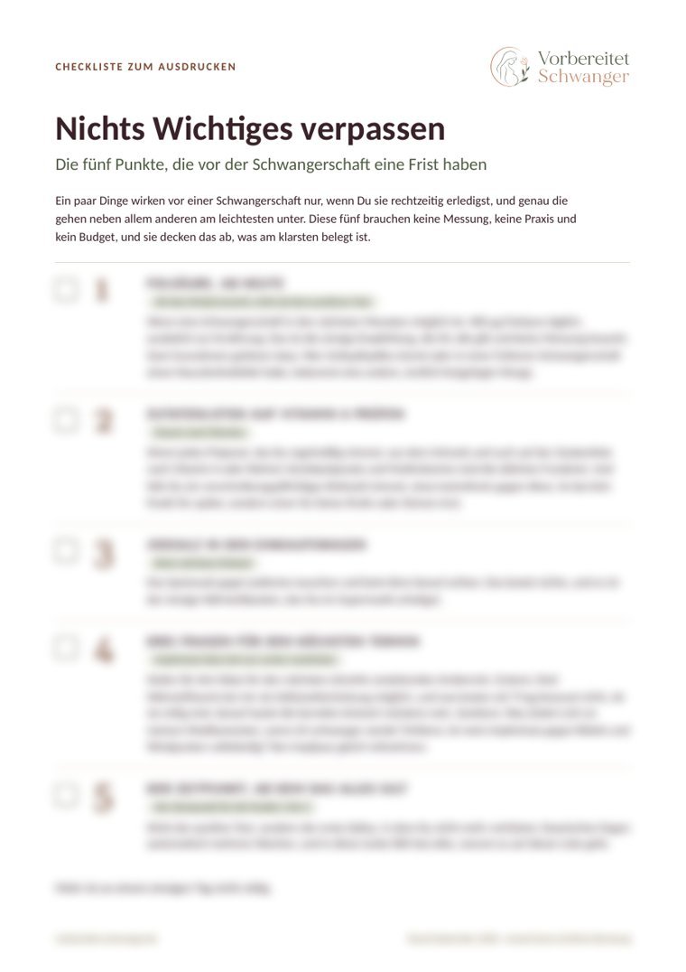 Vorschau der Checkliste, der Inhalt ist unkenntlich gemacht